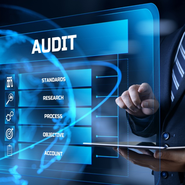 Learn More About How a Custom Audit Approach Can Help Your Business.